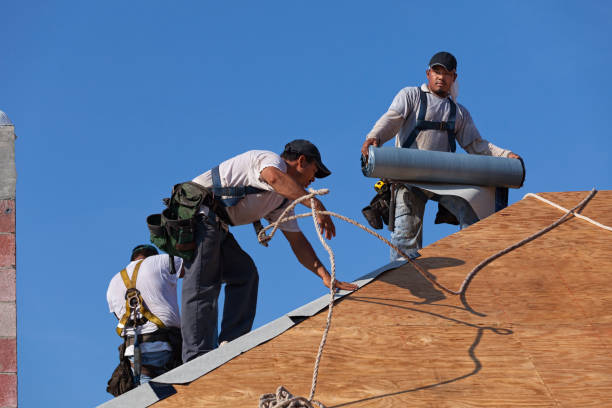 Best Roof Maintenance Services  in Spencer, IA
